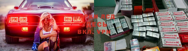 Альфа ПВП Нефтекумск