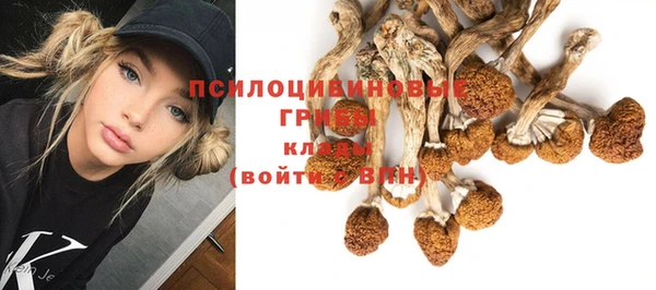 первитин Нефтегорск