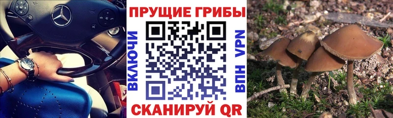 наркота  Шали  МЕГА tor  Псилоцибиновые грибы мухоморы 
